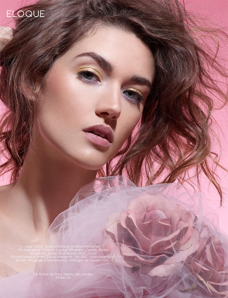 Other Publications: ELOQUE magazine Issue #13 JANUARY 2019